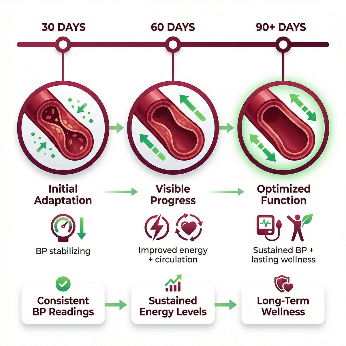 Building Sustainable Cardiovascular Wellness